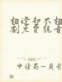 相逢却不相识短剧免费观看