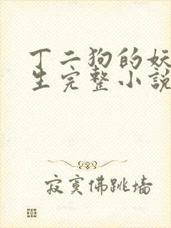 丁二狗的妖孽人生完整小说笔