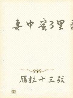 妻中蜜3里番