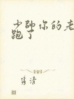 少帅你的老婆又跑了