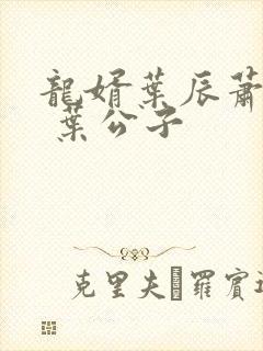 龙婿叶辰萧初然 叶公子封面