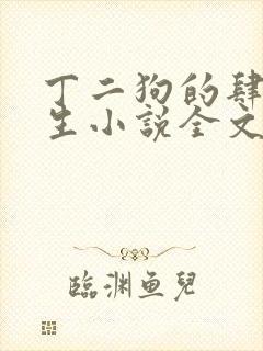 丁二狗的肆意人生小说全文