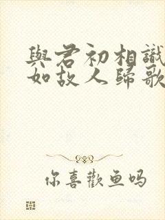 与君初相识,犹如故人归歌曲封面