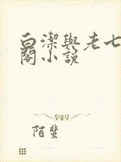 白洁与老七笔趣阁小说