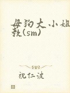 母狗大小姐的调教(sm)