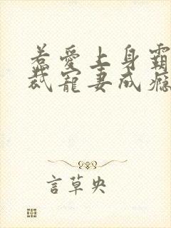 惹爱上身霸道总裁宠妻成瘾