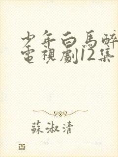 少年白马醉春风电视剧12集免费播放在线