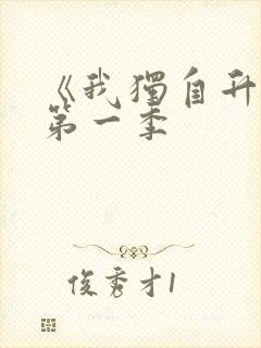 《我独自升级》第一季