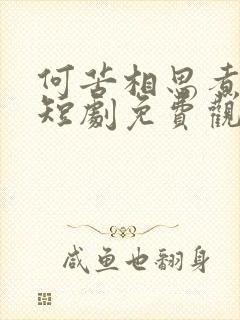 何苦相思煮余年短剧免费观看全集完整