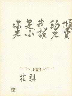 你是我的倾城时光小说免费阅读全文