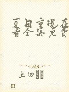 夏日重现在线观看全集免费播放封面