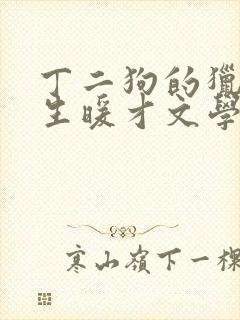 丁二狗的猎艳人生暖才文学网