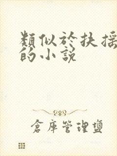 类似于扶摇夫人的小说