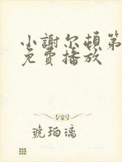 小谢尔顿第六季免费播放封面