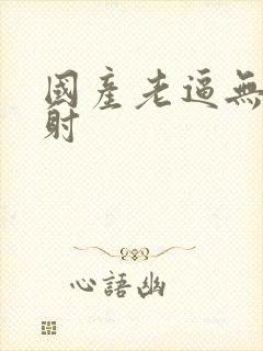 国产老逼无套内射