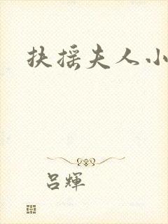 扶摇夫人小说真