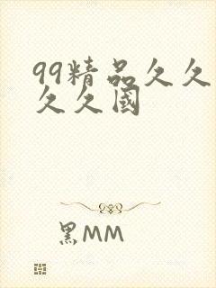 99精品久久久久久国