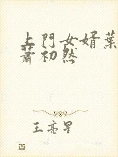 上门女婿叶辰和萧初然封面