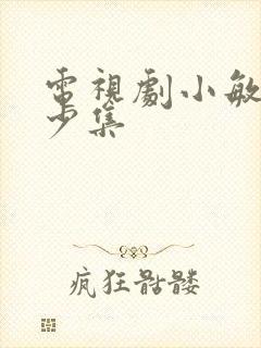 电视剧小敏家多少集