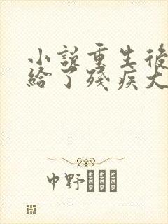 小说重生后我嫁给了残疾大佬