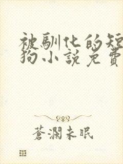 被驯化的短腿小狗小说免费阅读