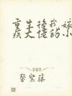 重生后我嫁给残疾大佬的小说封面