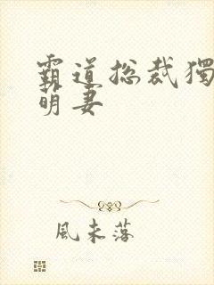 霸道总裁独宠小萌妻封面