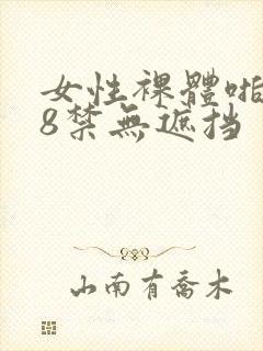 女性裸体啪啪18禁无遮挡封面