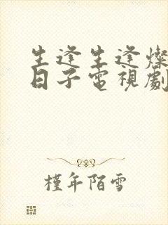 生逢生逢灿烂的日子电视剧封面