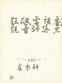 狂飙电视剧在线观看34集免费