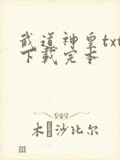 武道神皇txt下载完本