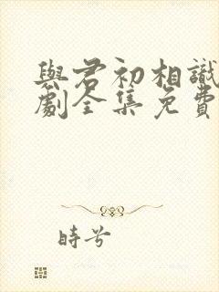 与君初相识电视剧全集免费播放