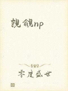 觊觎np