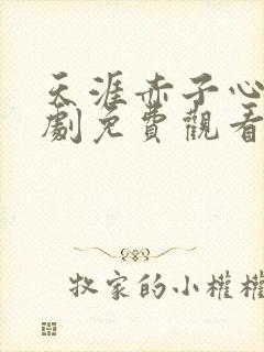 天涯赤子心电视剧免费观看完整版