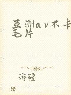亚洲a v不卡毛片