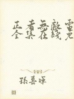 正者无敌电视剧全集在线免费观看