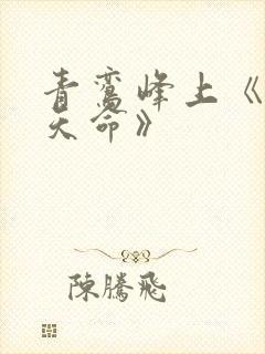 青鸾峰上《无敌天命》