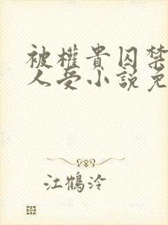 被权贵囚禁的美人受小说免费阅读下