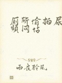 厕所偷拍尿尿视频网站封面