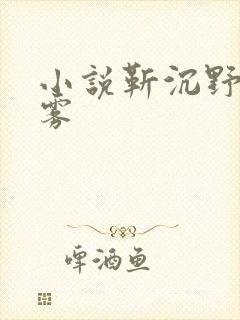 小说靳沉野唐栖雾封面