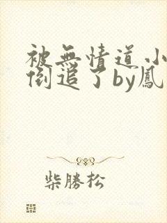 被无情道小师弟倒追了by凤歌