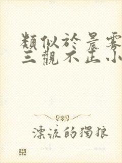 类似于晨雾的光三观不正小说