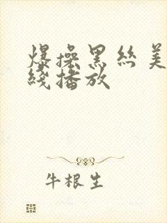 爆操黑丝美女在线播放