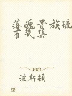 落魄贵族琉璃川有几集