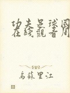 功夫足球国语版在线观看周星驰