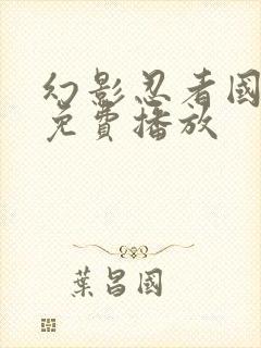 幻影忍者国语版免费播放