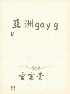 亚洲gay gv封面