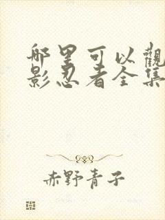 哪里可以观看火影忍者全集封面