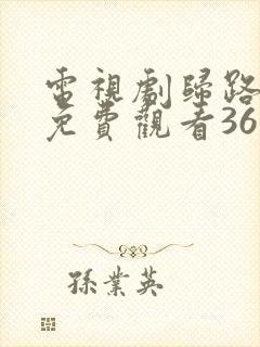 电视剧归路全集免费观看36集