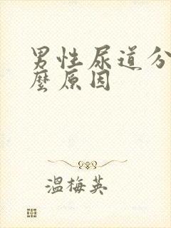 男性尿道分叉什么原因